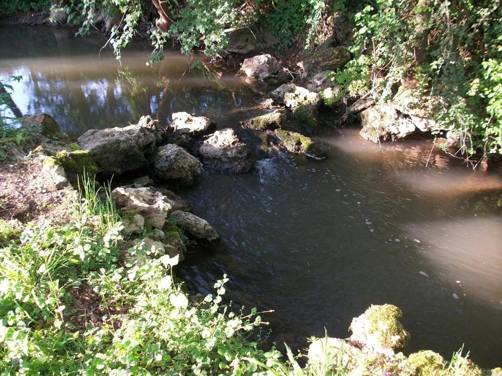 Chambre D'Hote Moulin Du Ru Aulnoy 外观 照片